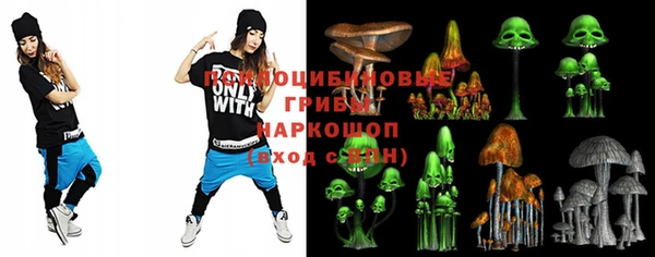 ГАЛЛЮЦИНОГЕННЫЕ ГРИБЫ Алзамай