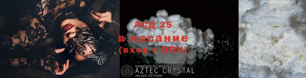 ГАЛЛЮЦИНОГЕННЫЕ ГРИБЫ Алзамай