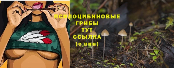 ГАЛЛЮЦИНОГЕННЫЕ ГРИБЫ Алзамай
