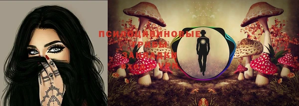 ГАЛЛЮЦИНОГЕННЫЕ ГРИБЫ Алзамай