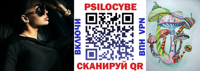 Галлюциногенные грибы Psilocybe  Карачев 